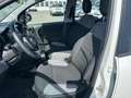 Fiat Panda 1.0 FireFly S&S Hybrid City Life PROMO CON FINANZI Gris - thumbnail 7