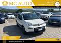 Fiat Panda 1.0 FireFly S&S Hybrid City Life PROMO CON FINANZI Gris - thumbnail 1