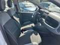 Fiat Panda 1.0 FireFly S&S Hybrid City Life PROMO CON FINANZI Gris - thumbnail 9