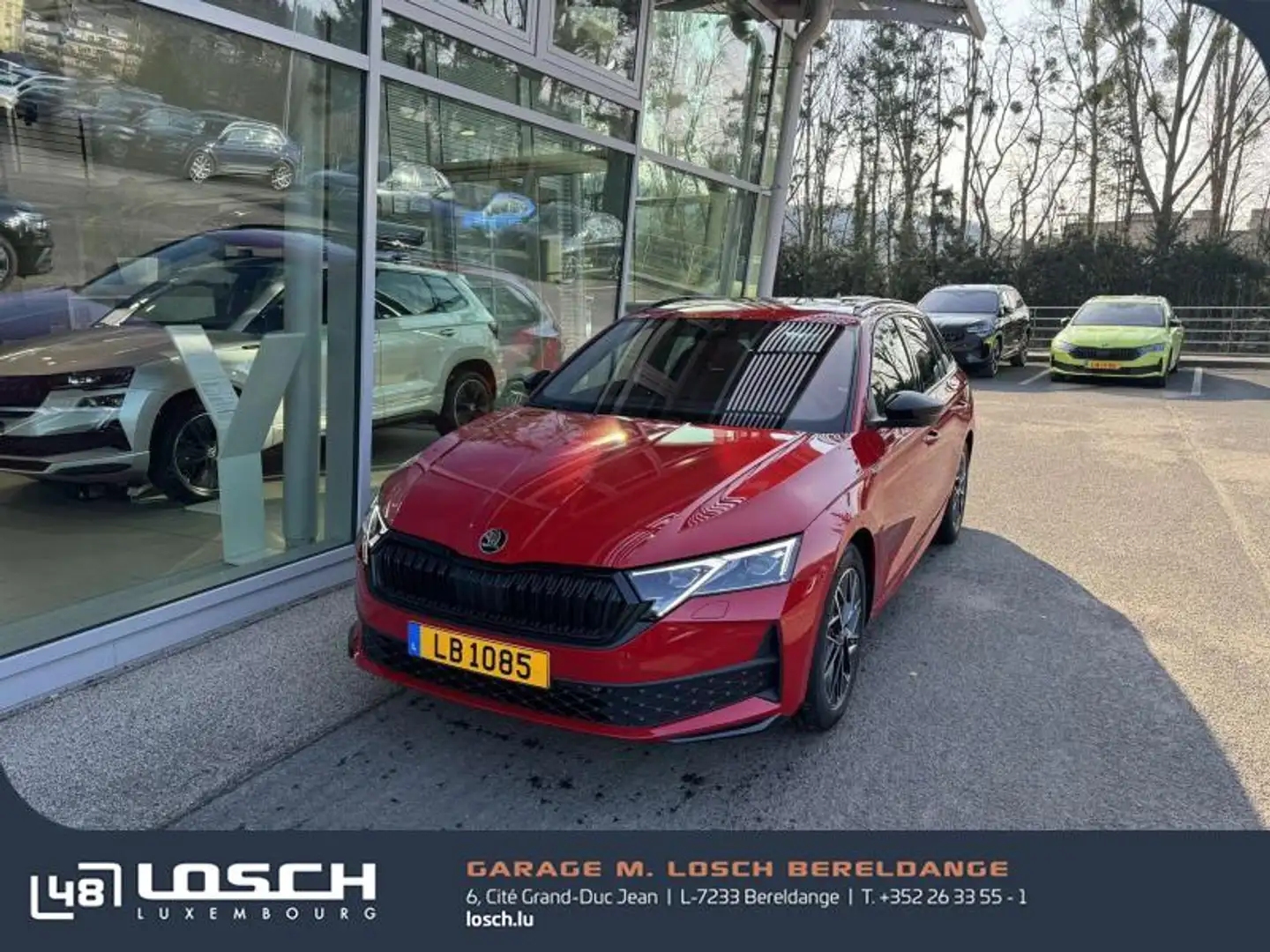Skoda Octavia Sportline Rouge - 1