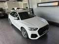 Audi Q5 Sportback 40 TDI qu.S line|Sthzg|Luft|AHK|20 Weiß - thumbnail 26