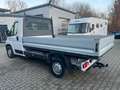 Citroen Jumper Pritsche, 1.Hand, AHK, 17000 km Weiß - thumbnail 10