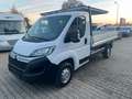 Citroen Jumper Pritsche, 1.Hand, AHK, 17000 km Weiß - thumbnail 6