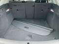 Audi Q5 40 TDI QU S-TR LED+NAVI+2xPDC+GRA+SHZ Schwarz - thumbnail 14