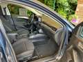 Ford Focus Break 1.5 EcoBlue 120 Titanium X +... 2021 Bleu - thumbnail 12