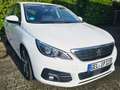 Peugeot 308 308 BlueHDi FAP 130 Stop Weiß - thumbnail 15