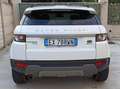 Land Rover Range Rover Evoque Range Rover Evoque 5p 2.2 td4 Launch edition 150cv Bianco - thumbnail 4