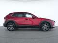Mazda CX-30 Selection ACC|Head-up-Display|Premium-Paket Rot - thumbnail 5
