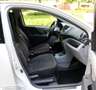 Nissan Pixo 1.0 Look AIRCO | Splinternieuwe APK | bj 2010! Alb - thumbnail 9