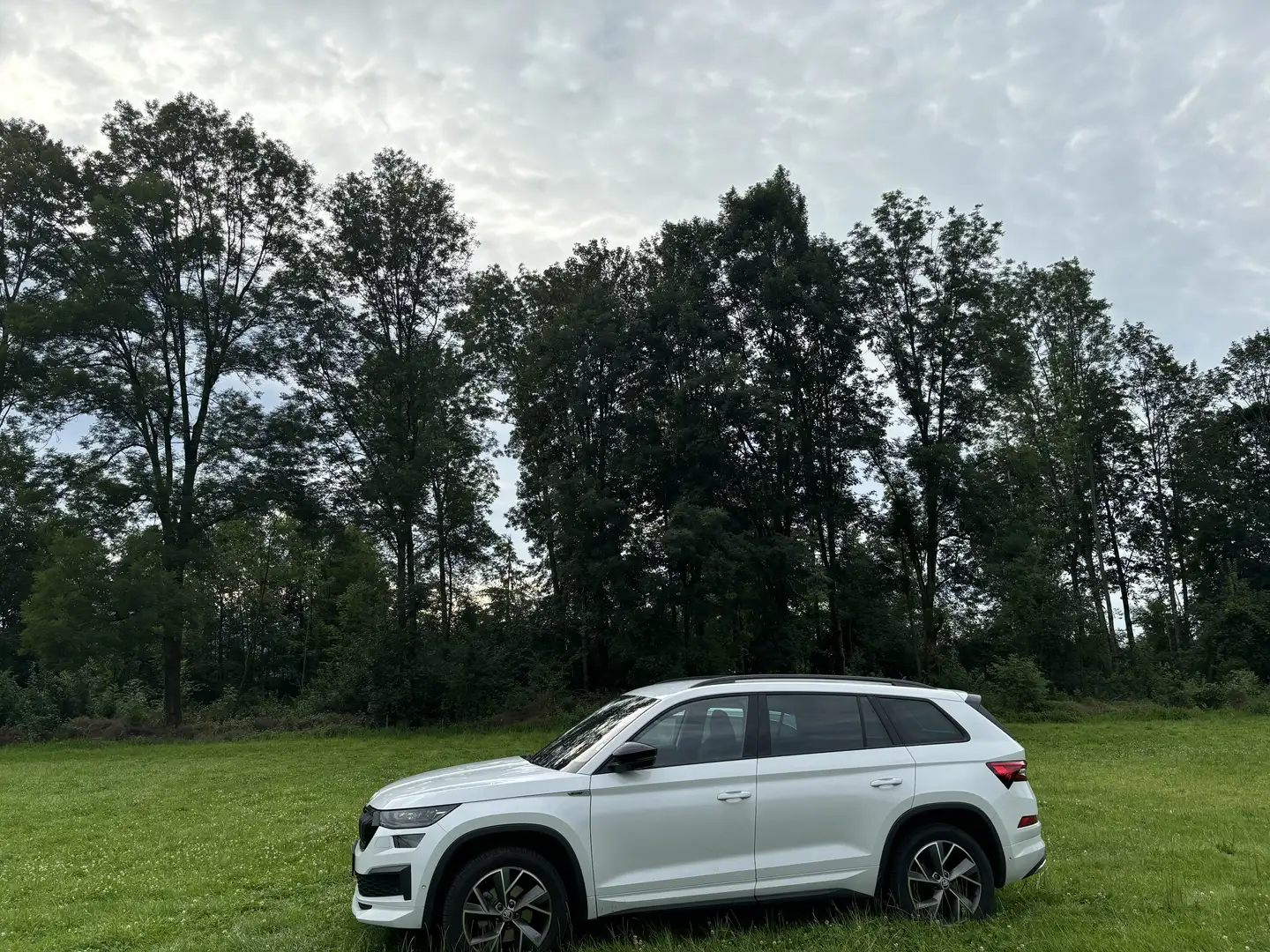 Skoda Kodiaq 2,0 TDI SCR 4x4 Sportline DSG Weiß - 2
