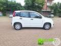 Fiat Panda 1.3 MJT 95 CV S&S Easy Wit - thumbnail 14