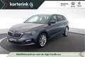 Skoda Scala 1.0 TSI Business Edition Grijs - thumbnail 1
