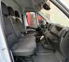 Fiat Ducato Fg. 35 2.2Mjt L3 H2 Panelado 140CV Blanco - thumbnail 14
