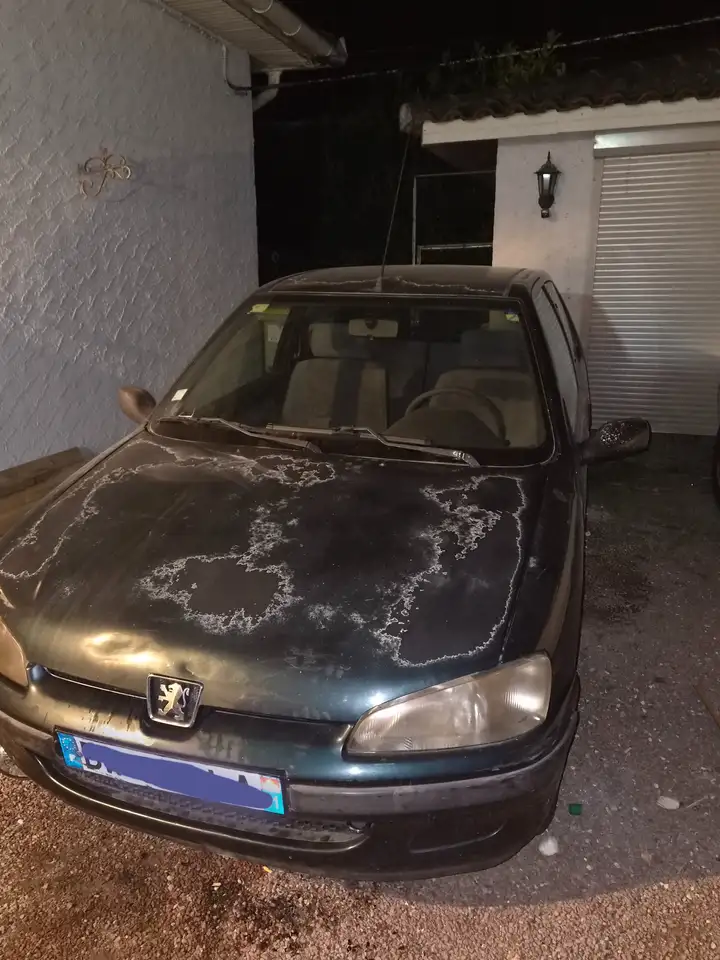 Peugeot 106 1.5 D Green