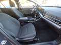 Kia Sportage Sportage 1.6 CRDi MHEV DCT Business Grigio - thumbnail 13