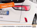 Ford Kuga 1.5 ecoblue st-line x 2wd 120cv auto Bianco - thumbnail 17