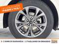 Ford Kuga 1.5 ecoblue st-line x 2wd 120cv auto Bianco - thumbnail 15