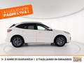 Ford Kuga 1.5 ecoblue st-line x 2wd 120cv auto Bianco - thumbnail 5