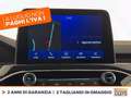 Ford Kuga 1.5 ecoblue st-line x 2wd 120cv auto Bianco - thumbnail 25