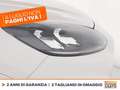 Ford Kuga 1.5 ecoblue st-line x 2wd 120cv auto Bianco - thumbnail 14