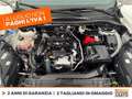 Ford Kuga 1.5 ecoblue st-line x 2wd 120cv auto Bianco - thumbnail 11