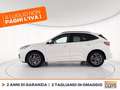 Ford Kuga 1.5 ecoblue st-line x 2wd 120cv auto Bianco - thumbnail 3