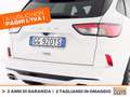 Ford Kuga 1.5 ecoblue st-line x 2wd 120cv auto Bianco - thumbnail 18