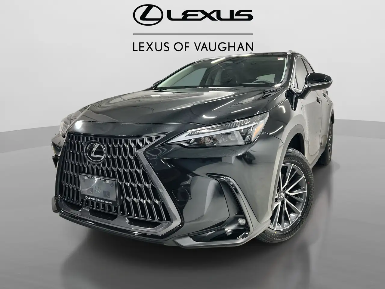 2026 Lexus NX photo 2026 Lexus NX