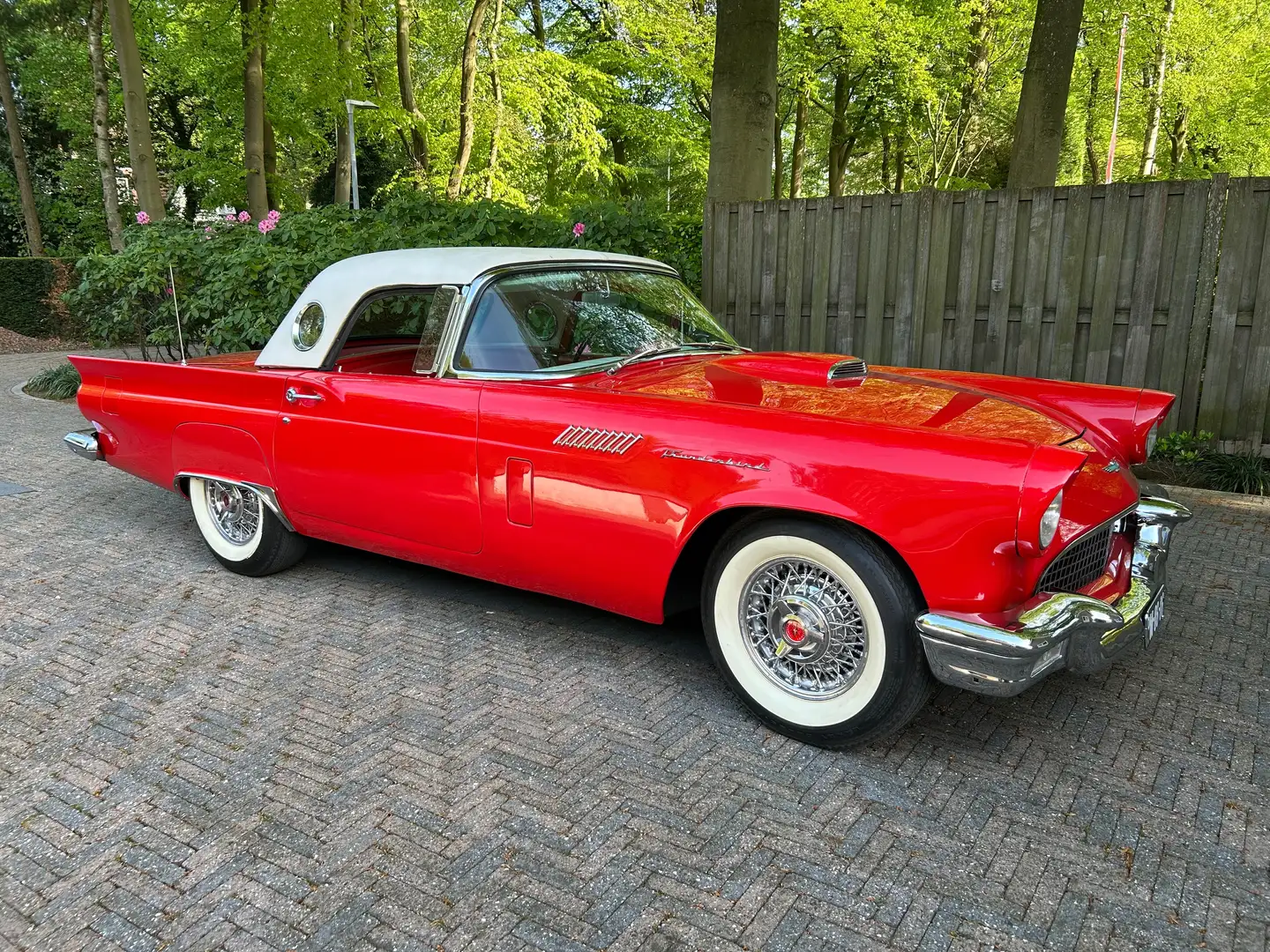 Ford Thunderbird Thunderbird 1957 Roşu - 2