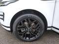 Land Rover Range Rover Evoque D180 R-Dynamic S TFT/Winter LED Blanc - thumbnail 11
