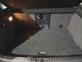 Volkswagen Tiguan Bi-Xenon LED PDC Panoramadach Braun - thumbnail 6