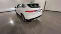 Jaguar F-Pace F-Pace 2.0d i4 mhev SE awd 163cv auto Bianco - thumbnail 12