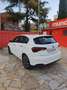 Fiat Tipo 1.4 T-Jet Gasolina/GLP Lounge Plus Blanco - thumbnail 8