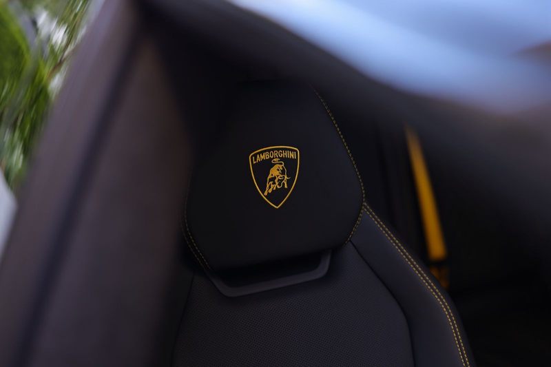 Lamborghini Urus 4.0 V8 SE | NOVITEC ESTESO | CARBON — photo 20