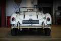 MG MGA 1600 Weiß - thumbnail 5