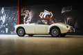 MG MGA 1600 Weiß - thumbnail 2
