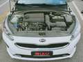 Kia ProCeed / pro_cee'd 1.4 T-GDI DCT GT Line Weiß - thumbnail 16