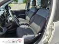 Fiat Panda 1.3 MJT S&S Easy Van 4 posti/MOTORE NUOVO! Wit - thumbnail 9