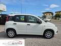 Fiat Panda 1.3 MJT S&S Easy Van 4 posti/MOTORE NUOVO! Wit - thumbnail 8