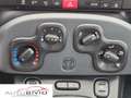 Fiat Panda 1.3 MJT S&S Easy Van 4 posti/MOTORE NUOVO! Wit - thumbnail 14