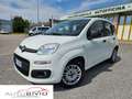 Fiat Panda 1.3 MJT S&S Easy Van 4 posti/MOTORE NUOVO! Wit - thumbnail 2