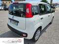 Fiat Panda 1.3 MJT S&S Easy Van 4 posti/MOTORE NUOVO! Wit - thumbnail 7