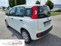 Fiat Panda 1.3 MJT S&S Easy Van 4 posti/MOTORE NUOVO! Wit - thumbnail 5