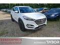 Hyundai TUCSON 1.7 CRDi 2WD Navi SHZ PDC LM Blanc - thumbnail 2