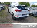 Hyundai TUCSON 1.7 CRDi 2WD Navi SHZ PDC LM Blanc - thumbnail 4