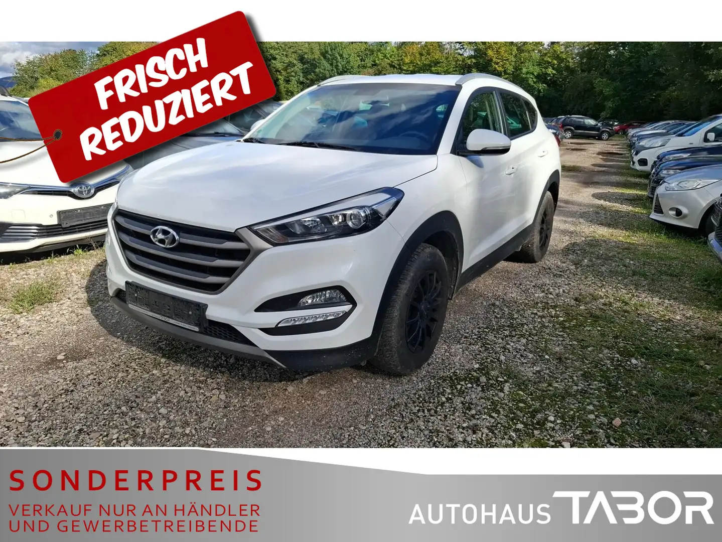 Hyundai TUCSON 1.7 CRDi 2WD Navi SHZ PDC LM Weiß - 2