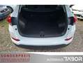 Hyundai TUCSON 1.7 CRDi 2WD Navi SHZ PDC LM Blanc - thumbnail 10