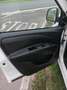 Opel Combo 1.6 CDTi 120CV PL-TN Cosmo Bianco - thumbnail 8