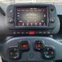 Fiat Panda Panda 1.2 City Cross s&s Rosso - thumbnail 11