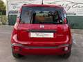 Fiat Panda Panda 1.2 City Cross s&s Rosso - thumbnail 4